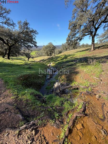 Foto 7a8a8b0c-b1c6-4ca0-9196-3f487efd48b3. Masia a el pedroso 0 a Pedroso (El)