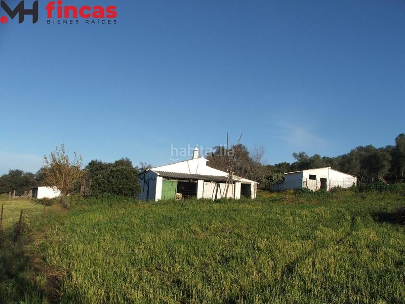 Foto 809b6ac9-3bb6-4ad8-8581-e732a1a4af31. Masia a el pedroso 0 a Pedroso (El)