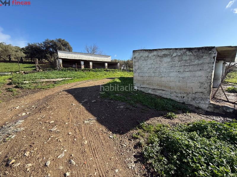 Foto 8319c734-4035-48ef-a4d8-9328bb5ed7cb. Masia a el pedroso 0 a Pedroso (El)