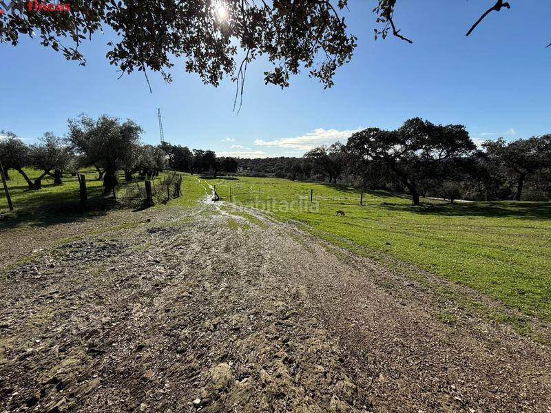 Foto 9408d8f1-9314-42da-9d64-62f502ca1d4c. Masia a el pedroso 0 a Pedroso (El)