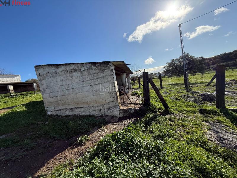 Foto 9b032dbe-a96e-4c20-bc95-eb55fcbe11da. Masia a el pedroso 0 a Pedroso (El)