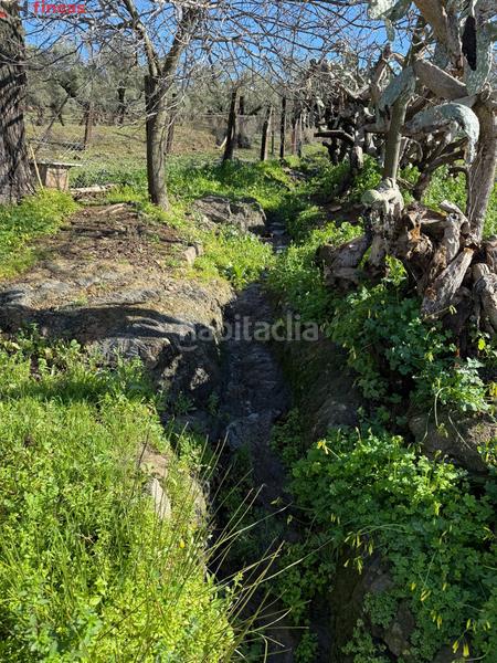 Foto 9d07299a-ea2b-40a1-b87b-8ff2d3d6eddf. Masia a el pedroso 0 a Pedroso (El)