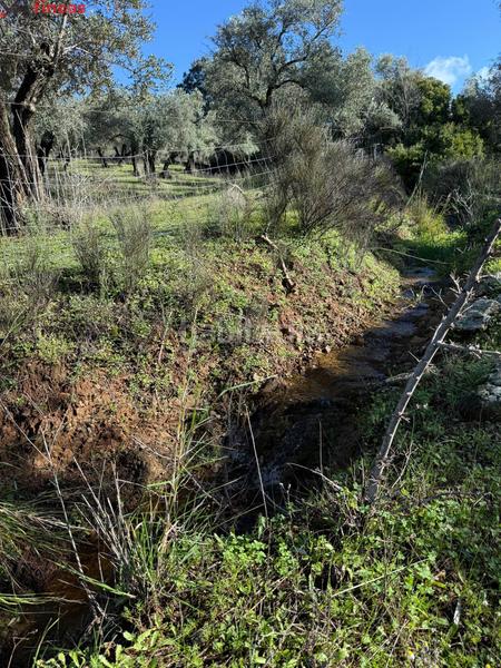 Foto 9d9f95af-9c7a-4c1f-8bfe-70a8c8c41865. Masia a el pedroso 0 a Pedroso (El)