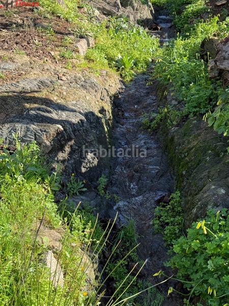 Foto b4dfa52d-be15-4ed0-9ba4-b52971c2a3a7. Masia a el pedroso 0 a Pedroso (El)