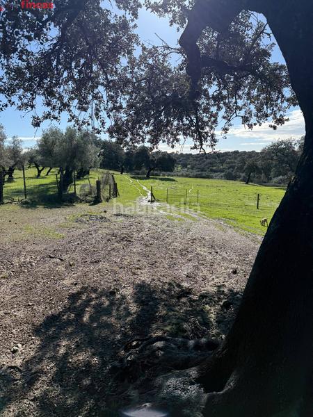 Foto b4f8c290-ee6e-41b5-8ac9-6357a7f35664. Masia a el pedroso 0 a Pedroso (El)