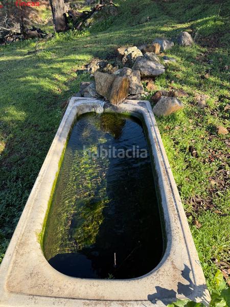 Foto b5c5bad6-e275-4cef-a754-6d2903f9b600. Masia a el pedroso 0 a Pedroso (El)