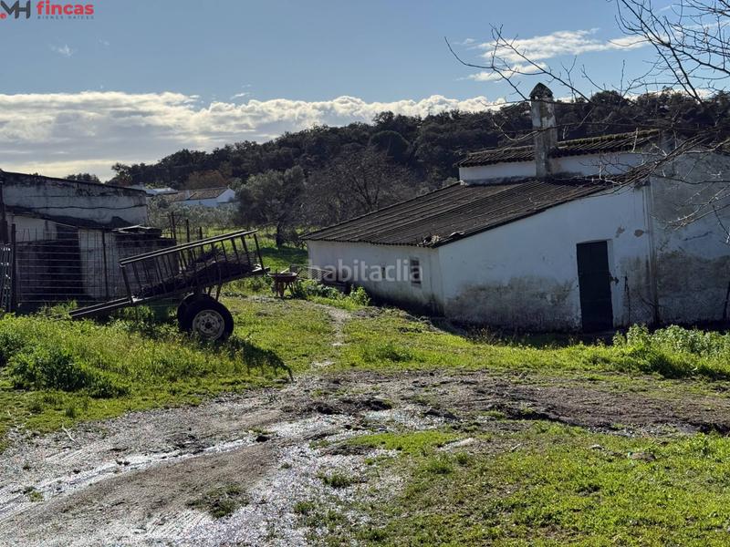 Foto b9d63b99-fa01-40e7-acb1-cf8b4a0c9ce7. Masia a el pedroso 0 a Pedroso (El)