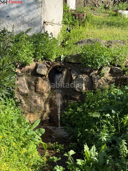 Foto ba0e1774-7688-465b-993d-06144310b718. Masia a el pedroso 0 a Pedroso (El)