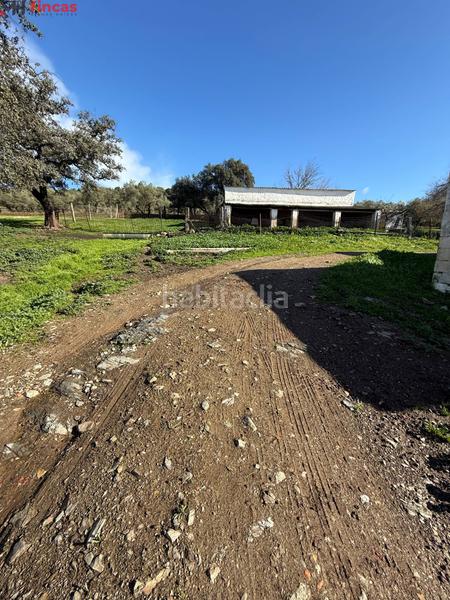 Foto c8f64216-8173-4769-992d-3125e59f1f73. Masia a el pedroso 0 a Pedroso (El)