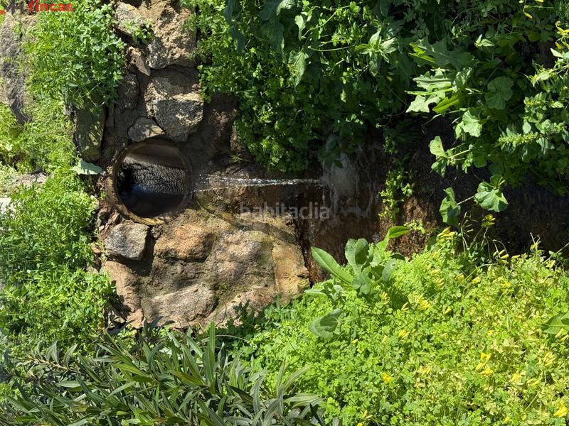 Foto cade5812-1d44-4786-8a2c-d7e11955819c. Masia a el pedroso 0 a Pedroso (El)