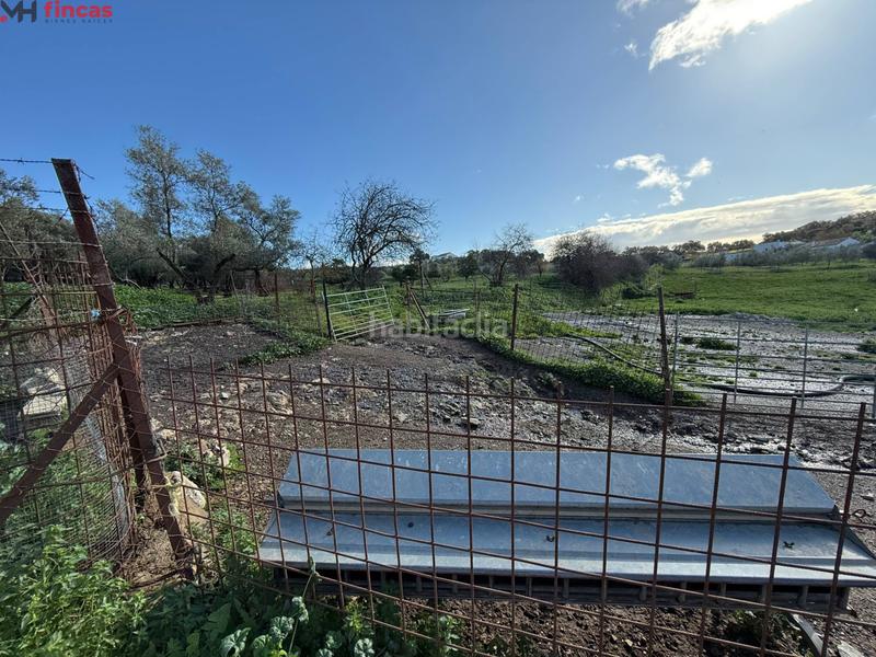 Foto d75469e0-d867-4afd-ae67-0f3b55d47442. Masia a el pedroso 0 a Pedroso (El)