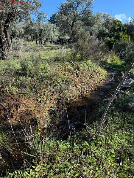 Foto d7d5df21-ecfb-41e5-91d4-9028b1c17995. Masia a el pedroso 0 a Pedroso (El)