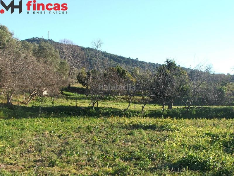 Foto d83bb6a0-6f7e-4ca2-a50d-2d690364a494. Masia a el pedroso 0 a Pedroso (El)