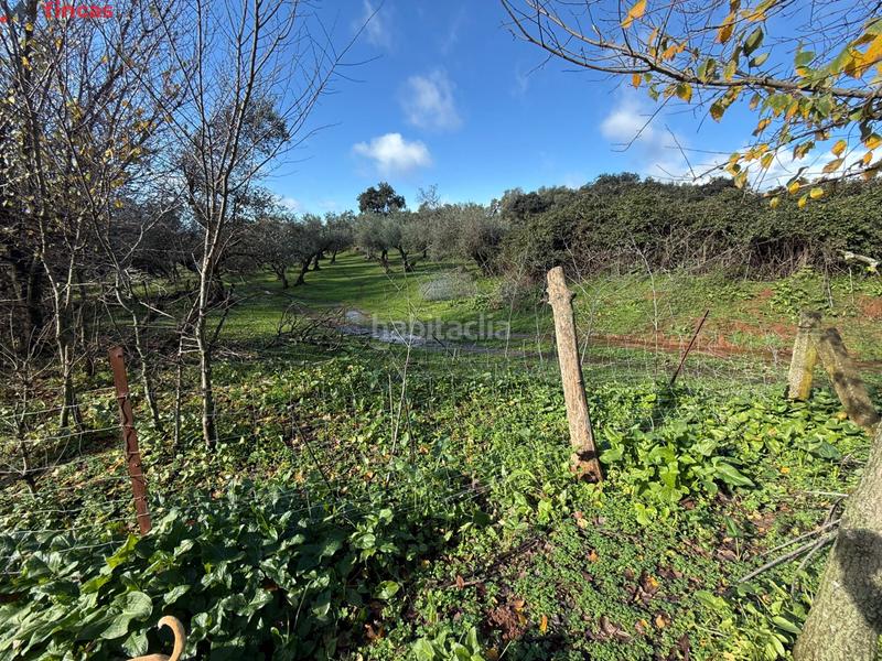 Foto e9f981ad-eda5-4725-83d1-d854be7dfe67. Masia a el pedroso 0 a Pedroso (El)