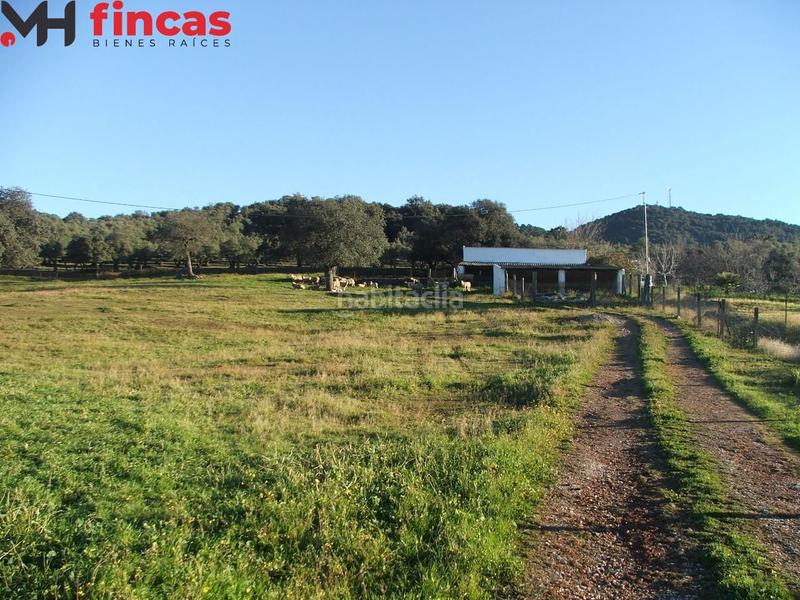 Foto f0e51760-2c55-4070-a970-352b83ee4300. Masia a el pedroso 0 a Pedroso (El)