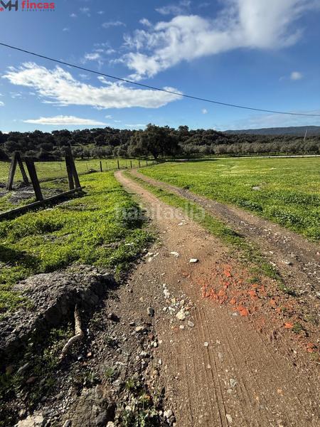 Foto f1824426-05c9-4439-a743-fe9b9c08ee1c. Masia a el pedroso 0 a Pedroso (El)