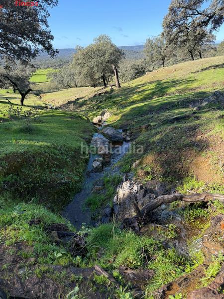 Foto f490da1e-54f6-49e2-9f7a-6e7c3c39cf72. Masia a el pedroso 0 a Pedroso (El)