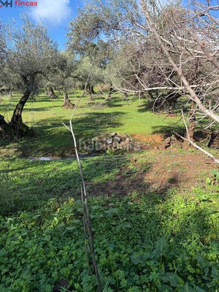 Foto f8a60b93-0837-4676-9563-7090e3b7e892. Masia a el pedroso 0 a Pedroso (El)