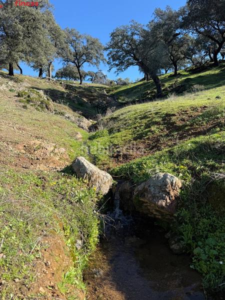 Foto fade590f-30a1-4d68-9952-300813a8810b. Masia a el pedroso 0 a Pedroso (El)