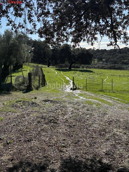 Foto fc4458e0-4257-4a7a-b078-2d2a2d6e7632. Masia a el pedroso 0 a Pedroso (El)