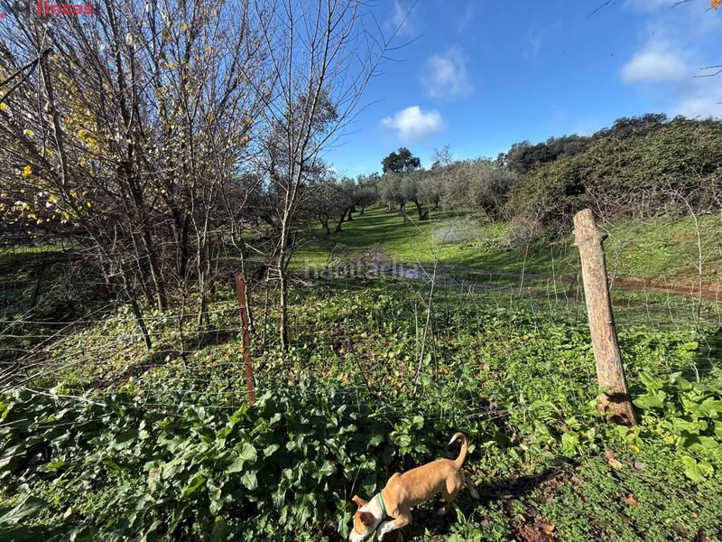 Foto fd141cdd-e533-4bb9-8299-fa5c5421fa21. Masia a el pedroso 0 a Pedroso (El)