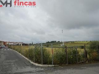 Terreny residencial a Avenida de la cruz 2. Suelo para desarrollar en el aljarafe sevillano