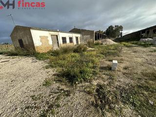 Propriété à Arahal. Finca rustica de 46.000 mt2 en arahal proyecto de instalación y
