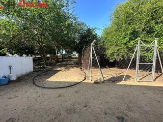 Masia a Camino de utrera 3. Preciosa finca de labor y recreo a las afueras de utrera 5,7 hac