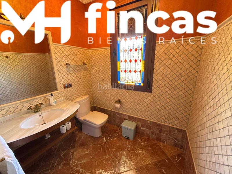 Foto 6b7b8911-bd55-47fe-84af-340b02775dbe. Chalet  rural de lujo entre olivos sevilla en Mairena del Alcor