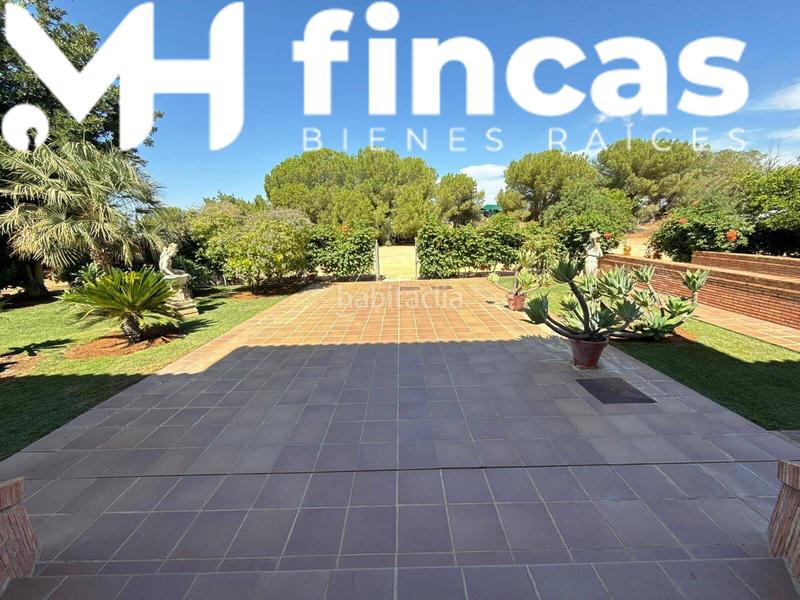 Foto 753f7473-46b7-48b6-9344-e76d4560664c. Chalet  rural de lujo entre olivos sevilla en Mairena del Alcor