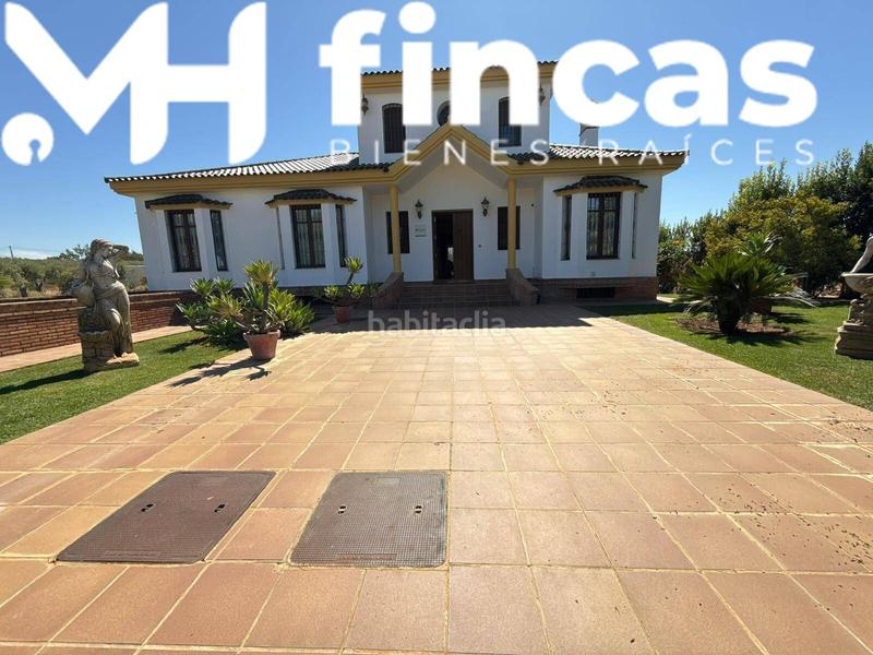 Foto e38333c3-5912-45ee-8514-9fe47353f1ad. Chalet  rural de lujo entre olivos sevilla en Mairena del Alcor