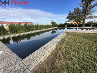 Xalet a Cruces 1. Se vende cooperativa finca de 10.000mt con negocio en plena fact