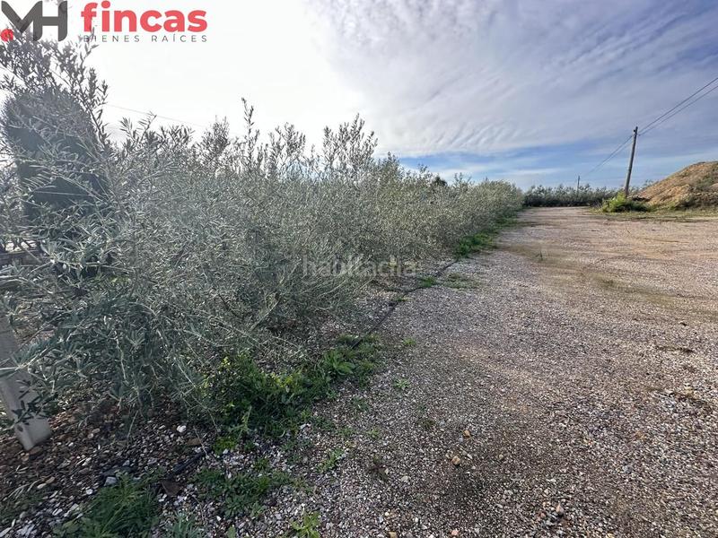 Foto 13727b5d-350f-4168-8c25-e2740785329e. Chalet in cruces 1 in Villagonzalo