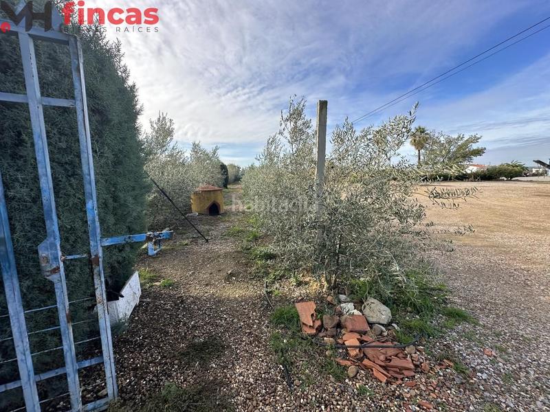 Foto 3d3893bb-54aa-4c9b-b174-25b85d2fd797. Chalet in cruces 1 in Villagonzalo