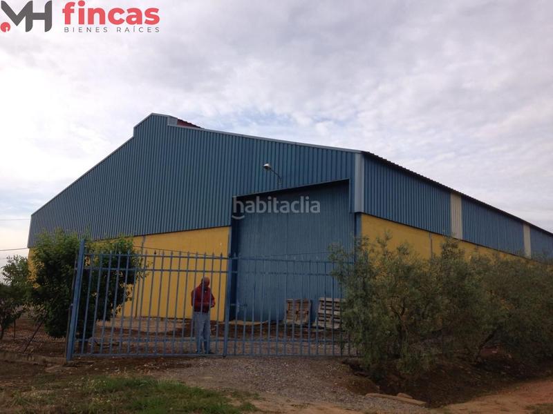 Foto 5e8811d4-01b4-40a6-8729-30ff9b39676f. Chalet in cruces 1 in Villagonzalo