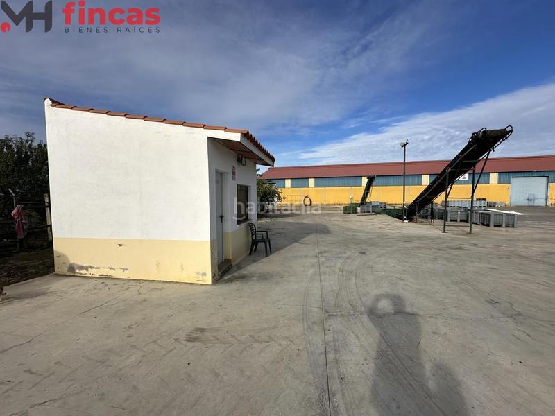 Foto 643ee6a4-7dc8-4f26-b701-641d36d8d6c9. Chalet in cruces 1 in Villagonzalo