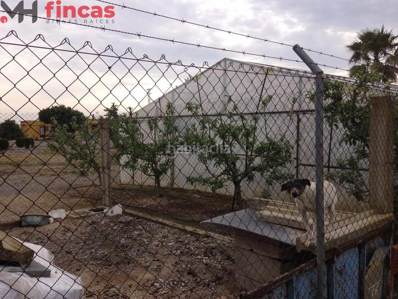 Foto 9a2880ae-aa7f-4fb8-b6ae-ea7be63e821c. Chalet in cruces 1 in Villagonzalo