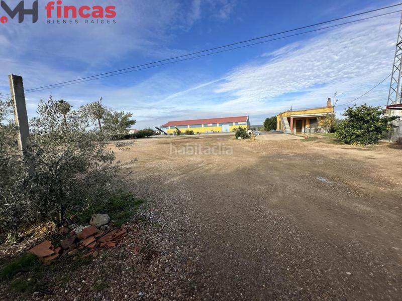 Foto 9ba06fa6-b38c-499f-b47d-5924e71a9183. Chalet in cruces 1 in Villagonzalo