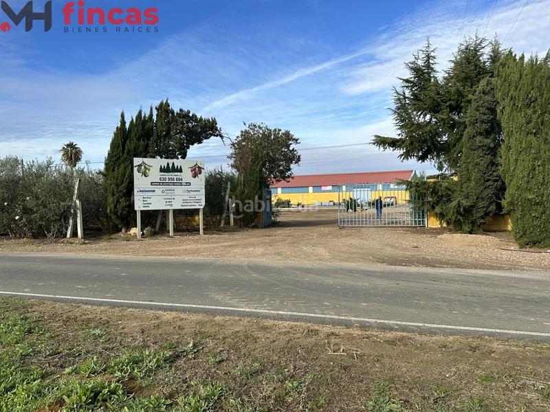 Foto 9c1b82a9-538a-4f06-bbd3-daabfd98c385. Chalet in cruces 1 in Villagonzalo