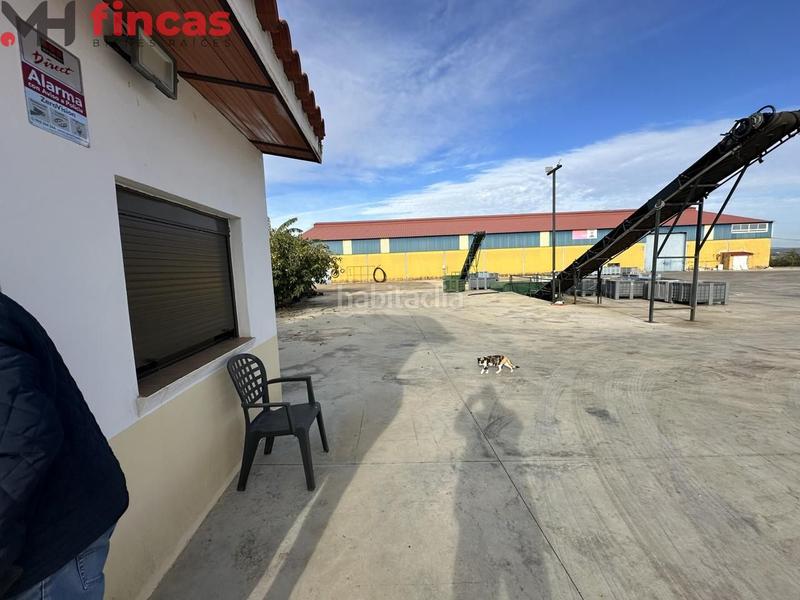 Foto b8c686dc-b21c-49cc-87f9-cad3cfe12483. Chalet in cruces 1 in Villagonzalo