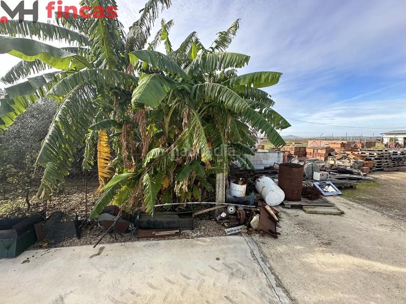 Foto ffa7b6cc-203c-4c9d-928d-5de6b4e84f75. Chalet in cruces 1 in Villagonzalo