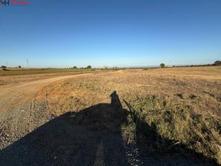 Propriété à Polígono 72 parcela 45 pero mingo alto. carmona ( 72. Inversión destacada en carmona, sevilla  16.000mt rústicos