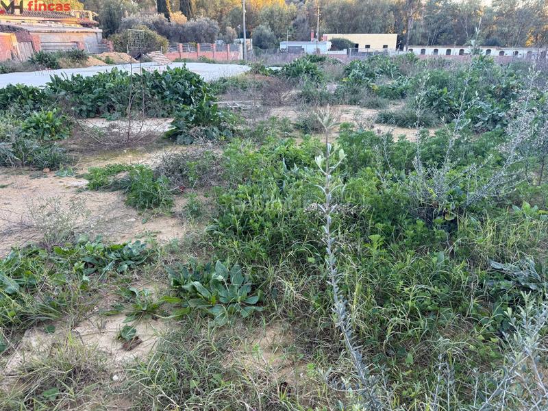 Foto 13998e9b-5c30-4511-9705-0d7c124a3d4e. Terrain résidentiel dans urbanizacion echaguy f 51 dans Dos Hermanas