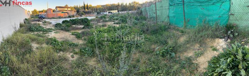 Foto 3c4806a8-a4d9-4a37-8a31-38d79d6a539c. Terrain résidentiel dans urbanizacion echaguy f 51 dans Dos Hermanas