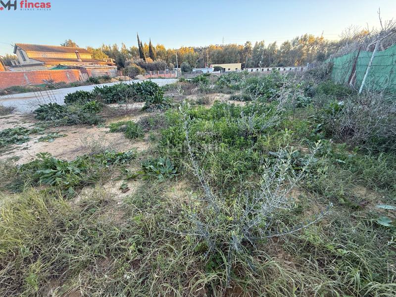 Foto 49734508-266a-4e9c-bd1d-d600368243ea. Terrain résidentiel dans urbanizacion echaguy f 51 dans Dos Hermanas