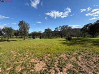 Finca rústica  Aldea del patrás. Finca rústica en venta  naturaleza, paz y oportunidad en huelva