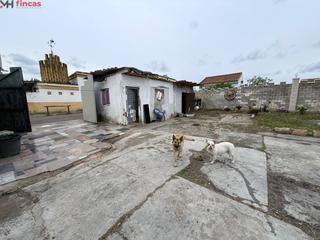 Mas à Carmona. Parcela de 1.250m en los naranjos, carmona  pozo propio, luz y c