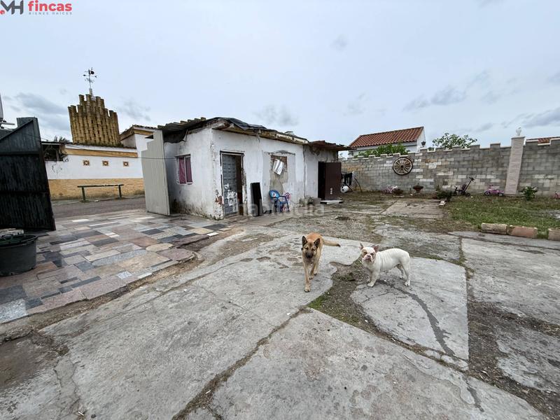 Foto 082c6f7a-0ef5-4a79-886c-9e4fa824a8eb. Masía parcela de 1.250m en los naranjos, pozo propio, luz y construcciones para reformar en Carmona