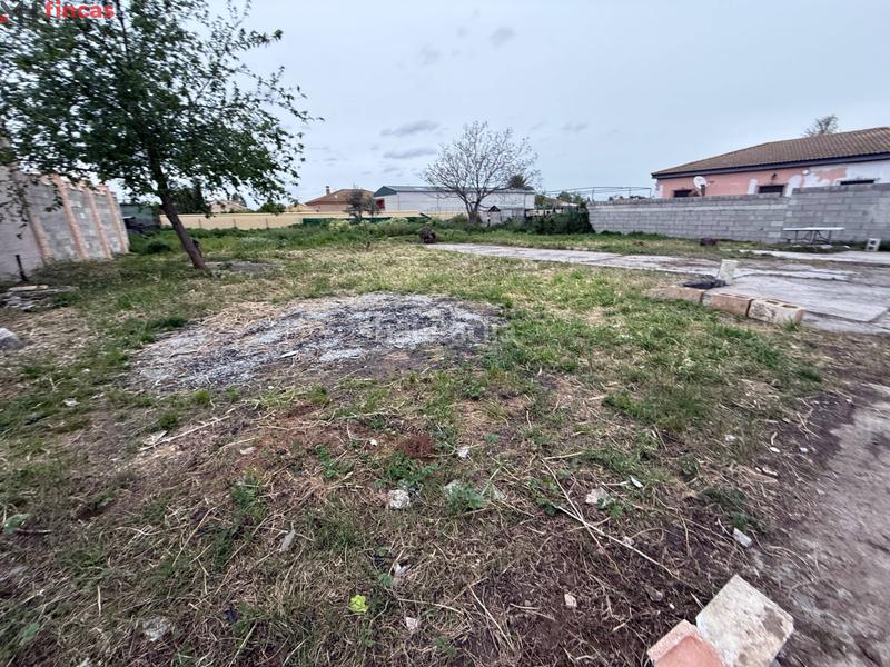 Foto 6a43bb2f-82db-4e1b-819e-ebca15a805ea. Masía parcela de 1.250m en los naranjos, pozo propio, luz y construcciones para reformar en Carmona