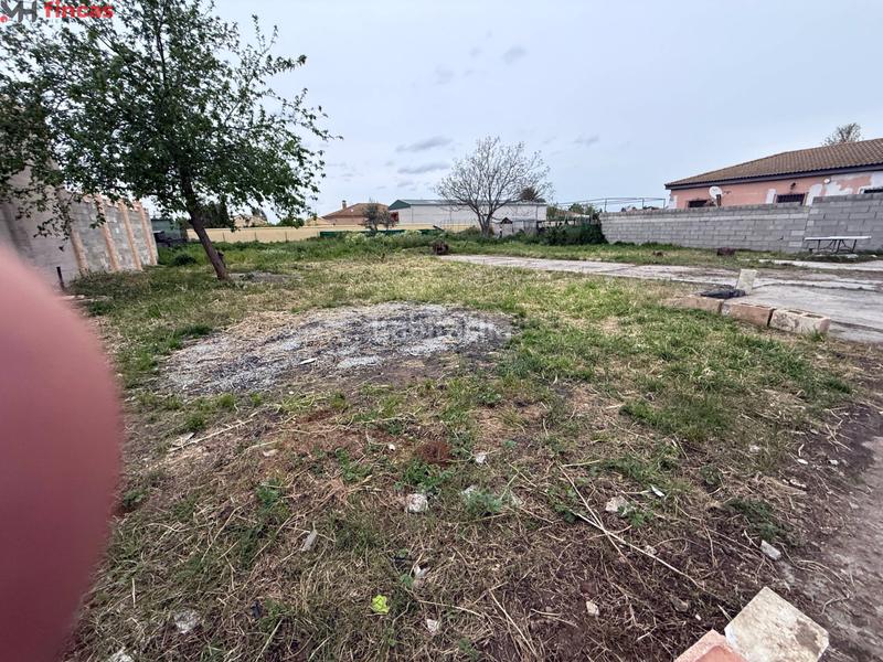 Foto ce6fb063-c69d-41b8-abd6-dba54c29372c. Masía parcela de 1.250m en los naranjos, pozo propio, luz y construcciones para reformar en Carmona